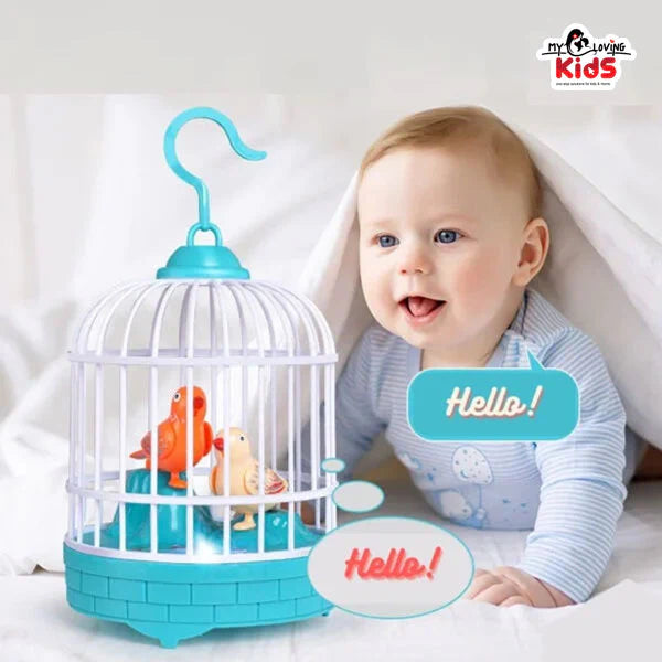 TALKBACK MUSICAL LIGHT BIRD CAGE WITH 2 BIRDS BEAUTIFUL TOY